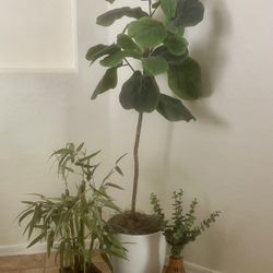 3 Fake House Plant Accents. They Are A Bit Flimsy, $10 For All 3