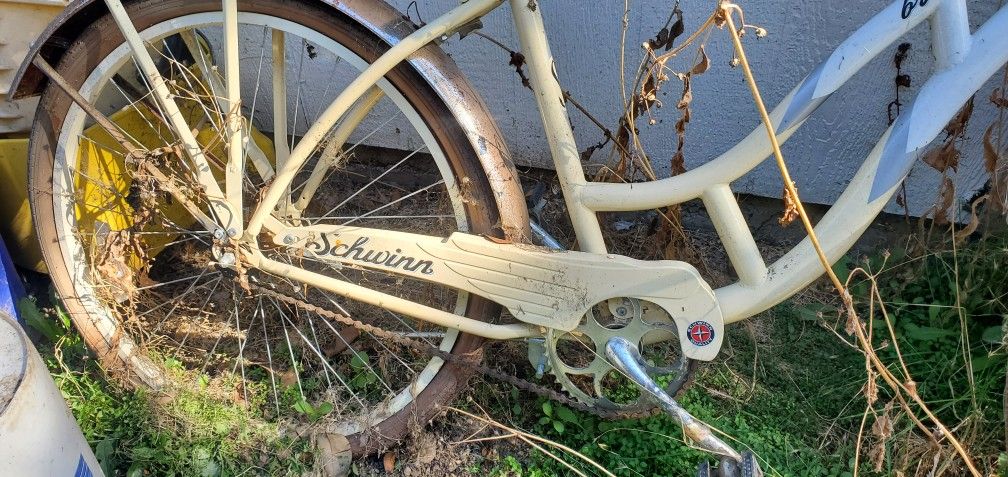 Schwinn Beach Cruiser Women's