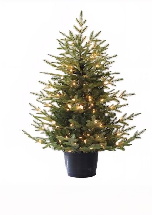 (2) Lighted 4FT. Spruce Christmas Trees