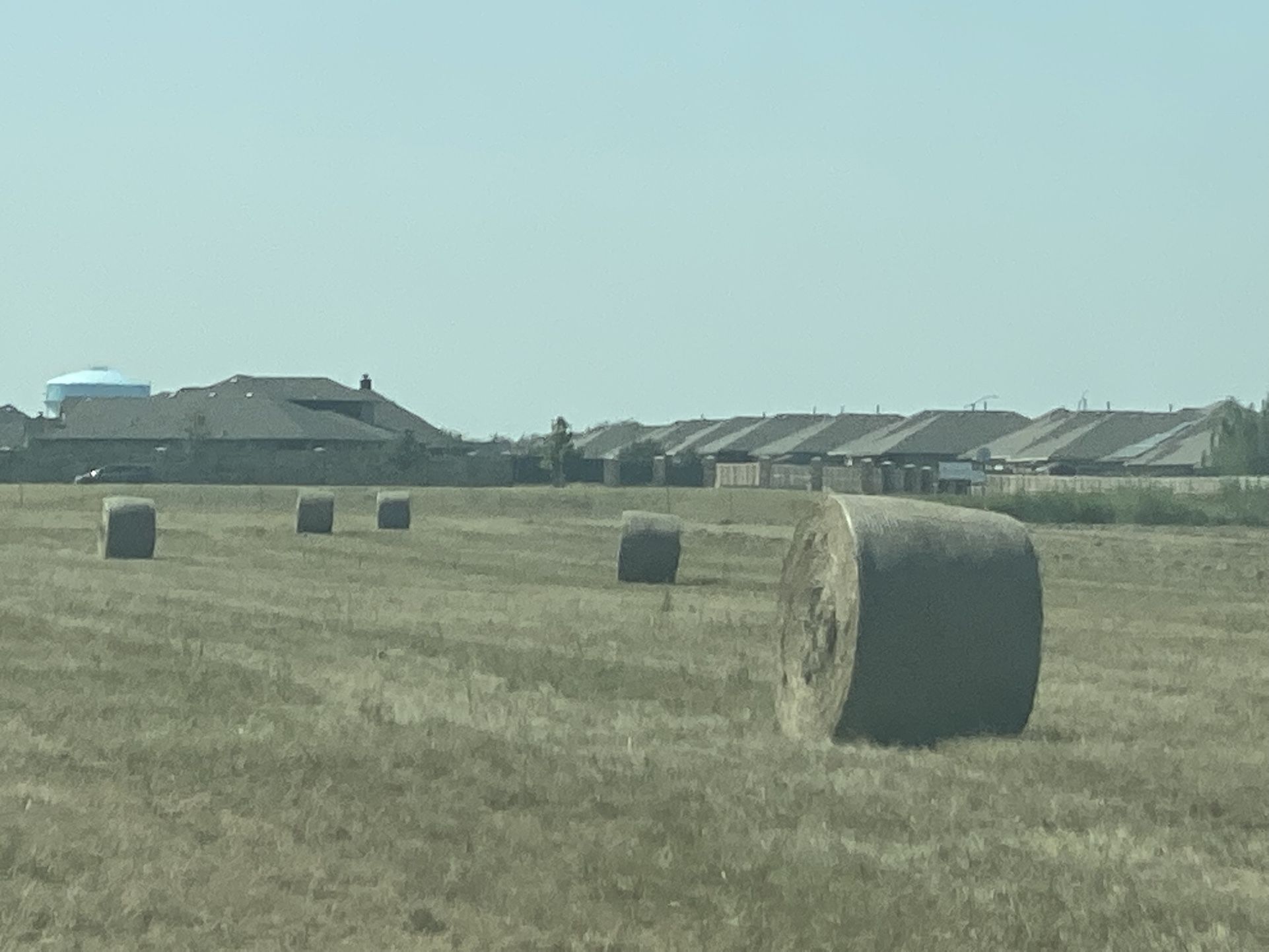 Rollos De Sácate Para Borregos Vacas