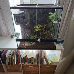 Gecko Tank With All Supplies