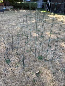 Tomato or plant cages