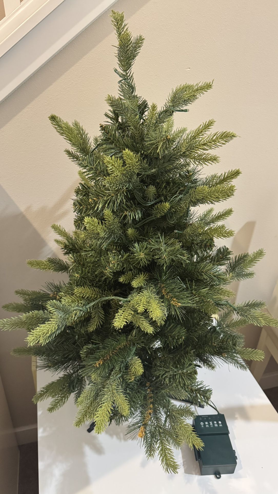 Christmas Tree with lights 