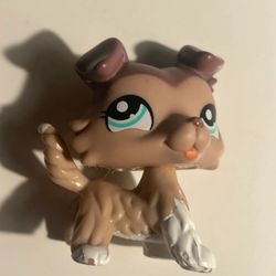 LPS 1330 Border Collie 