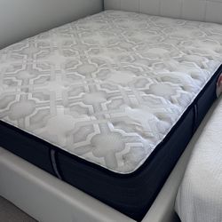 Sealy Queen Mattress