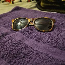 Vans Sunglasses 