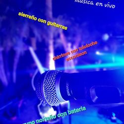 Requinto Guitarras  Acordeon Disponibles 