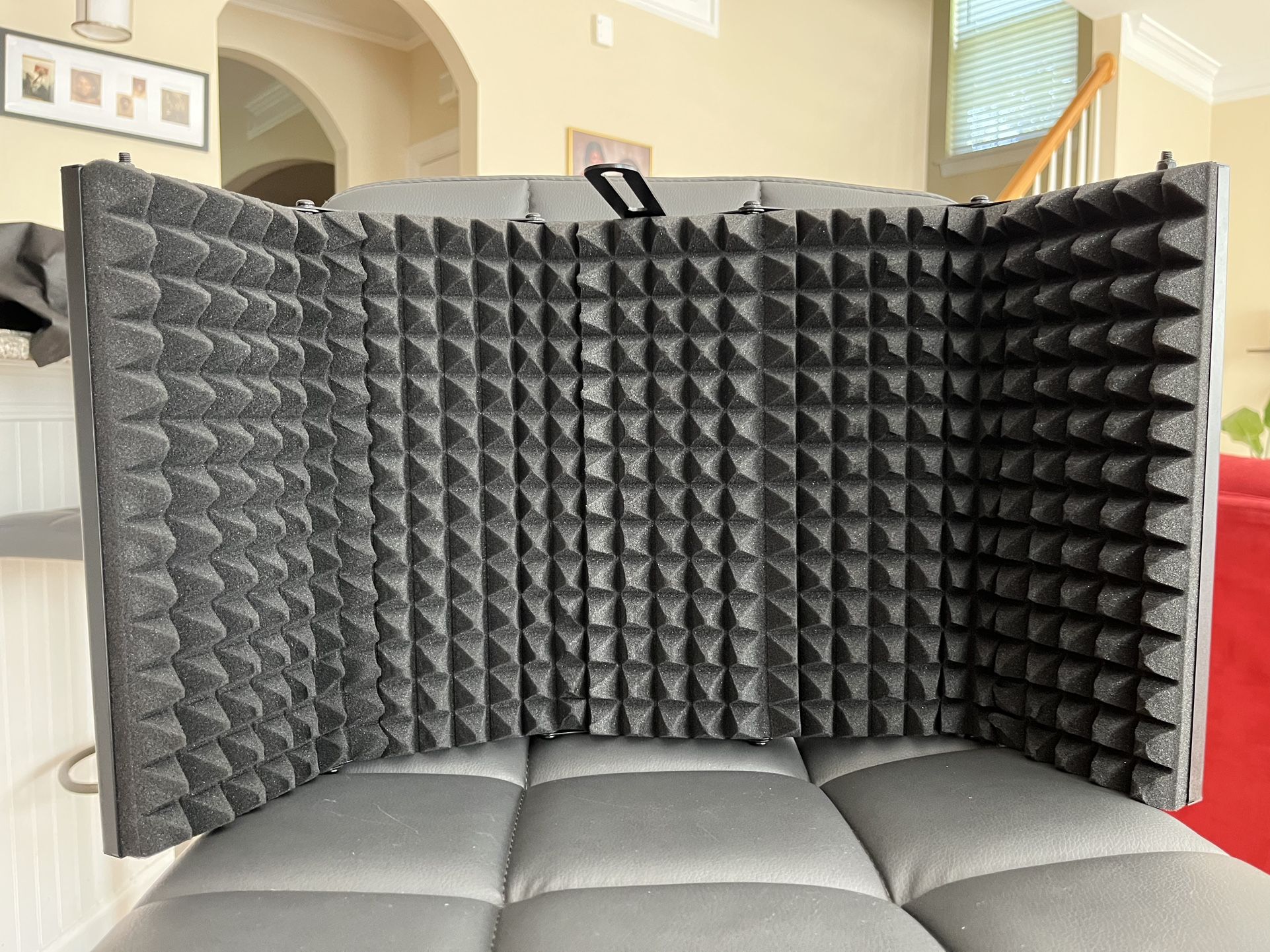 Microphone Isolation Shield