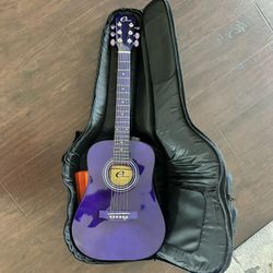 Purple Eleca 6 string acoustic guitar