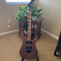 Electric Guitar