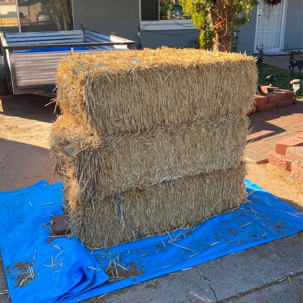 Straw Hay bales for Sale in Phoenix, AZ OfferUp