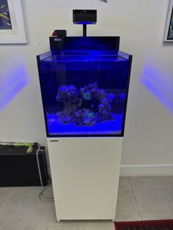 RED SEA NANO CUBE 20 Gal For sale