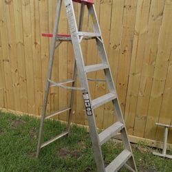 6 Ft Ladder