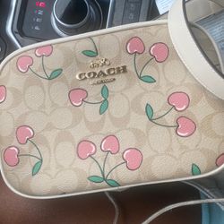 Coach Purse And Wallet 