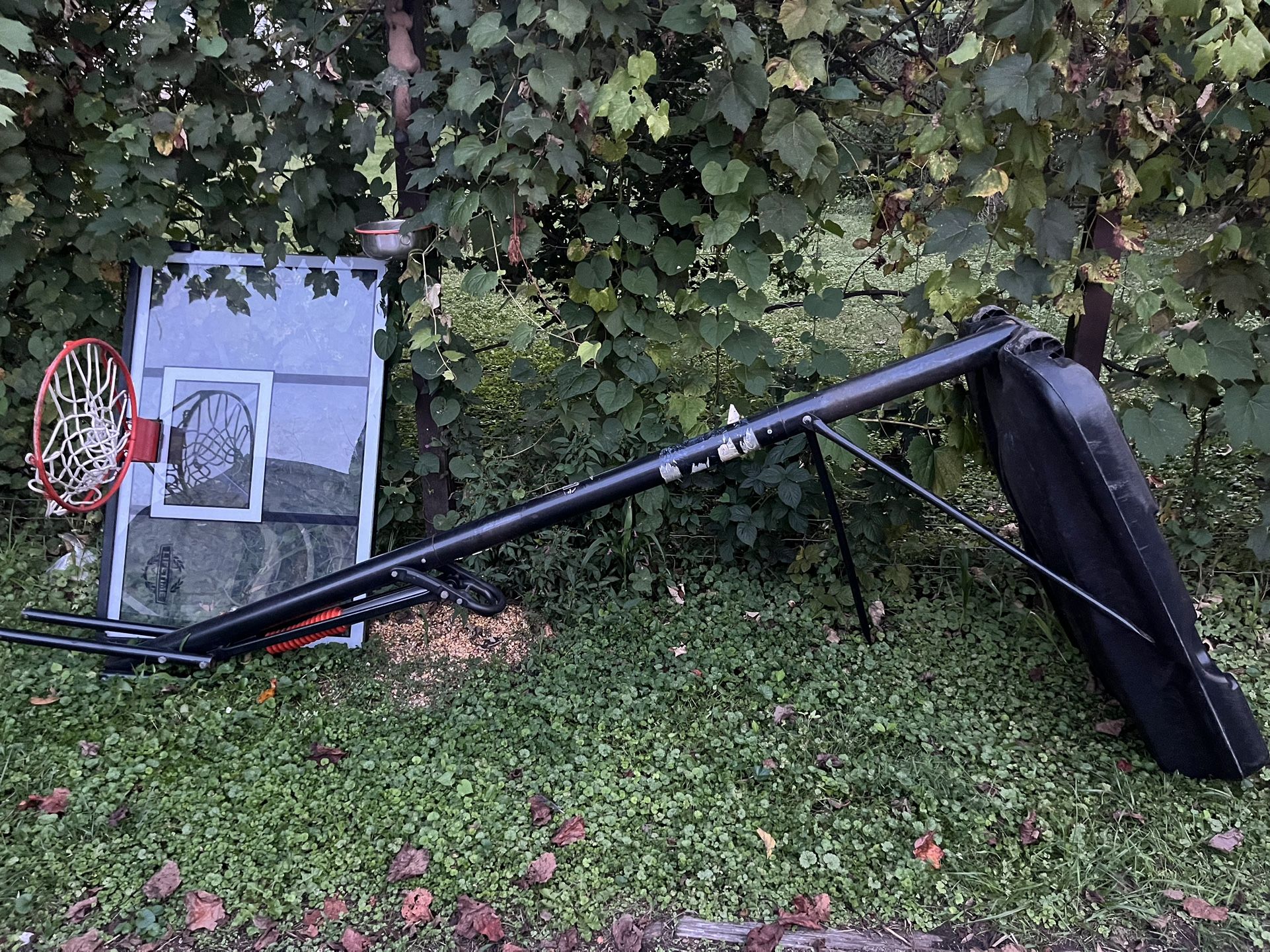 Basketball Hoop $50.00