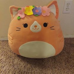 Kitten Squishamellow