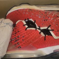 LeBron James Shoes