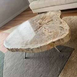 2 Petrified Wood Modern Coffee Tables