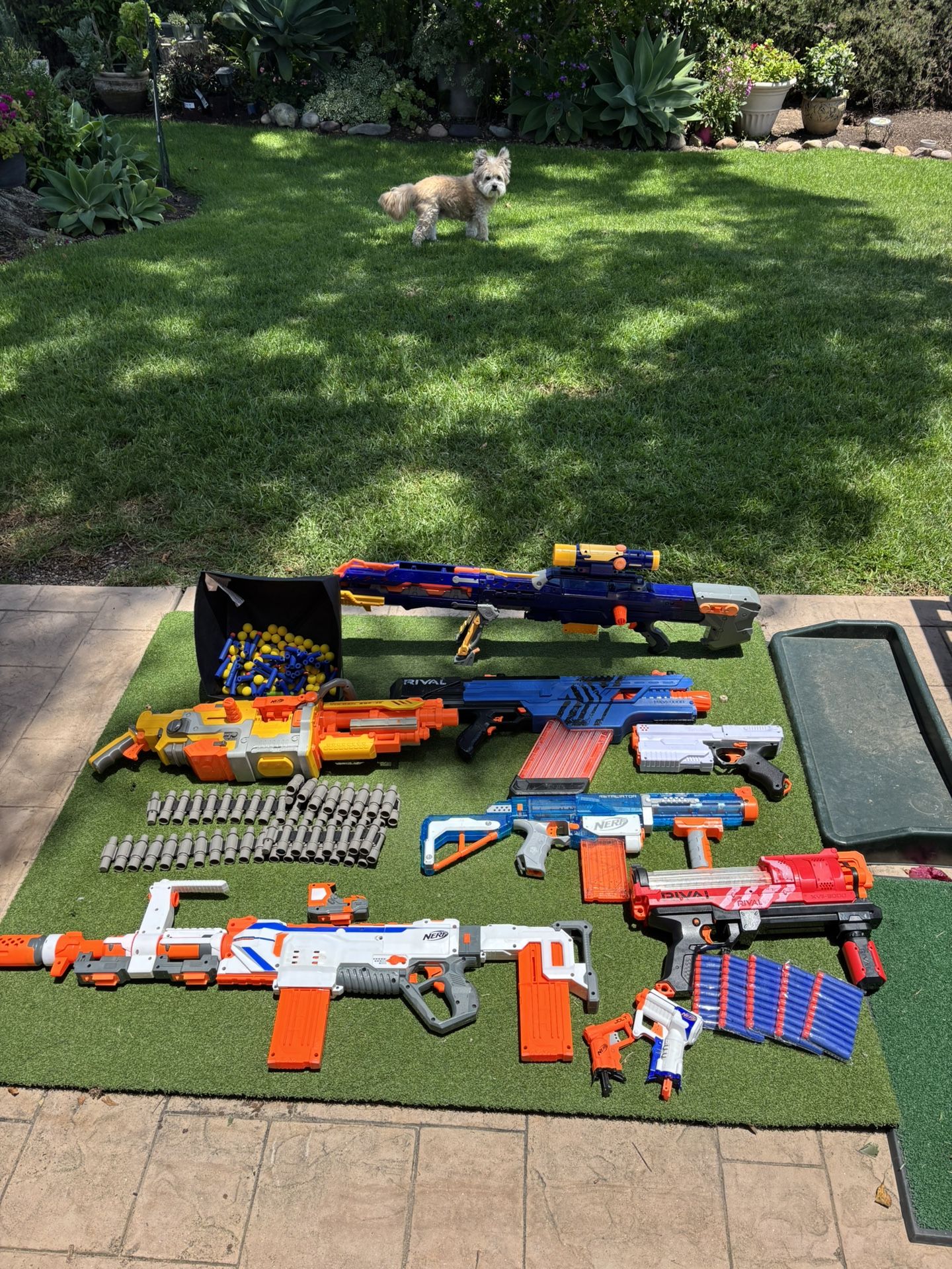 Nerf Gun Lot