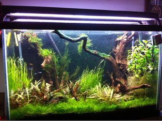120 gallon tall fish tank