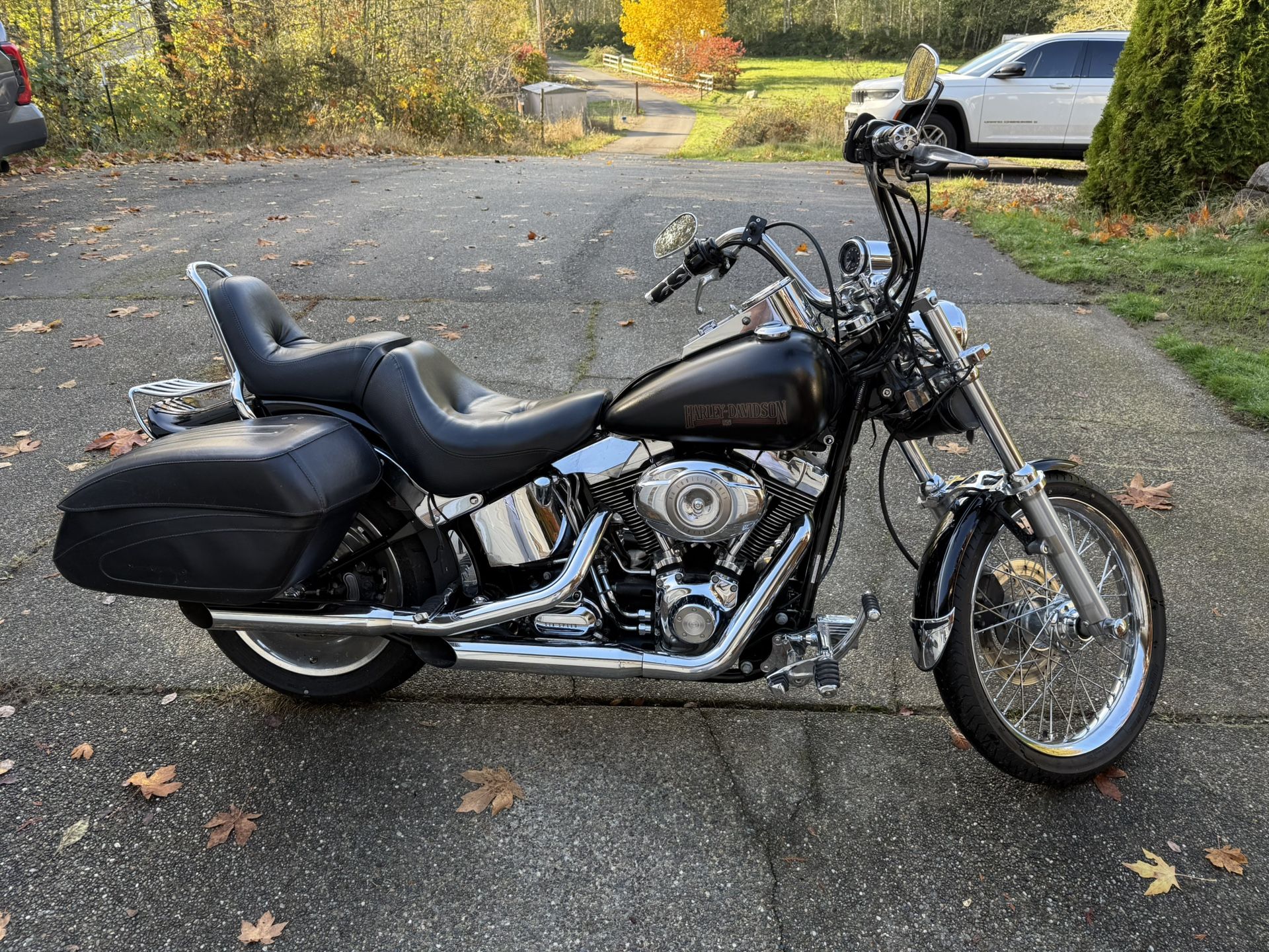 2006 Harley Davidson Softail Custom