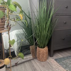 Tall Wild Grass Plant (fake)