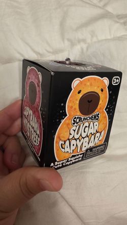Scrunchems Sugar Capybara Squishy Toy