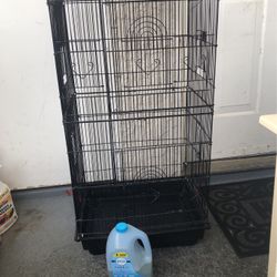 Birds Cage