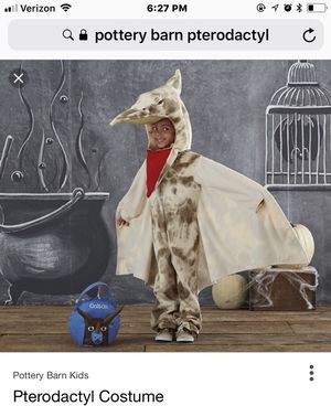 Halloween Costume Pottery Barn Kids Pterodactyl Costume For Sale