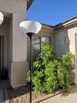 Lamps