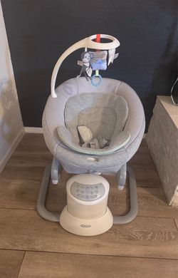 Graco Baby Swing with Removable Rocker