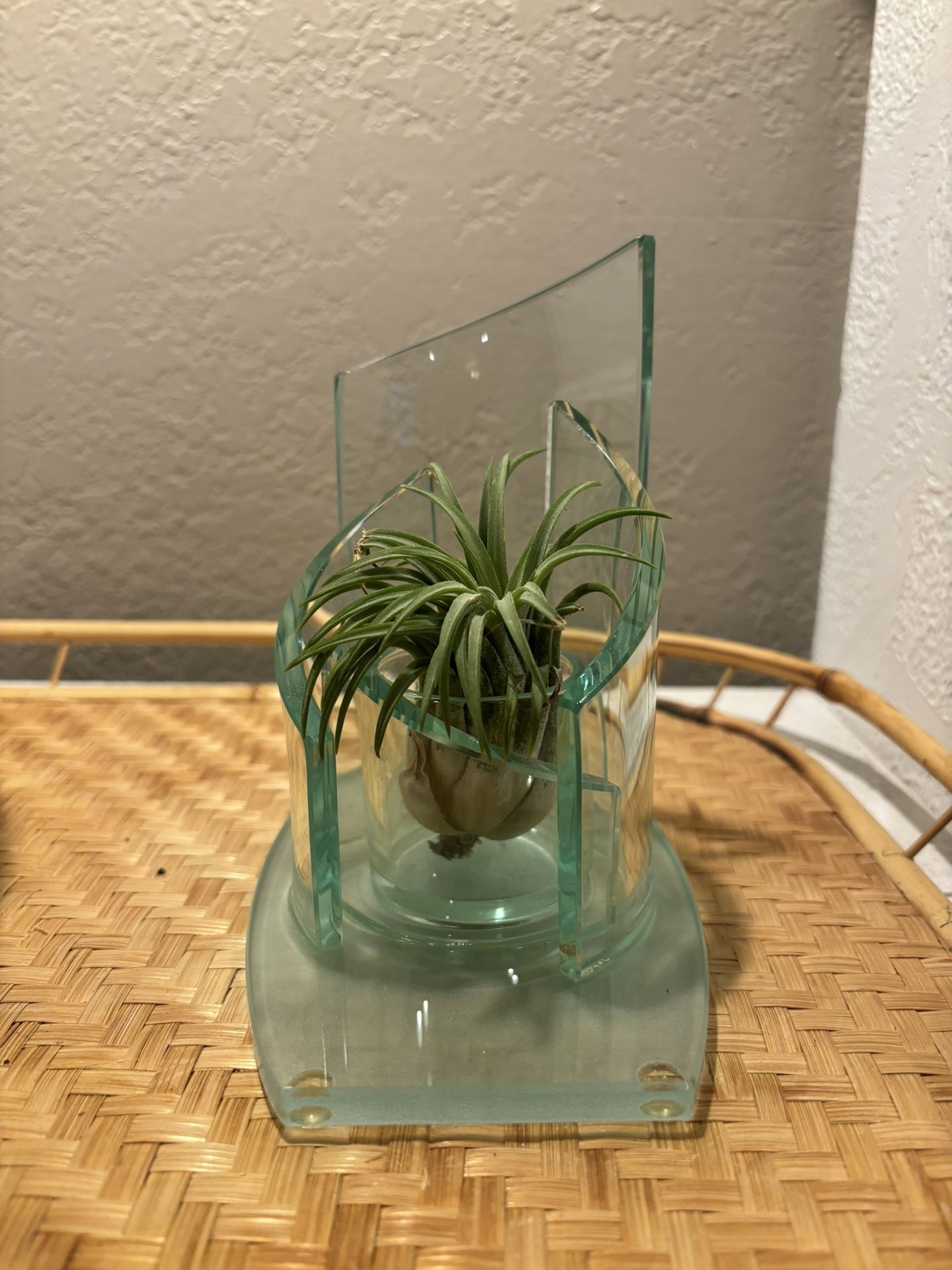 Votive/plant Holder