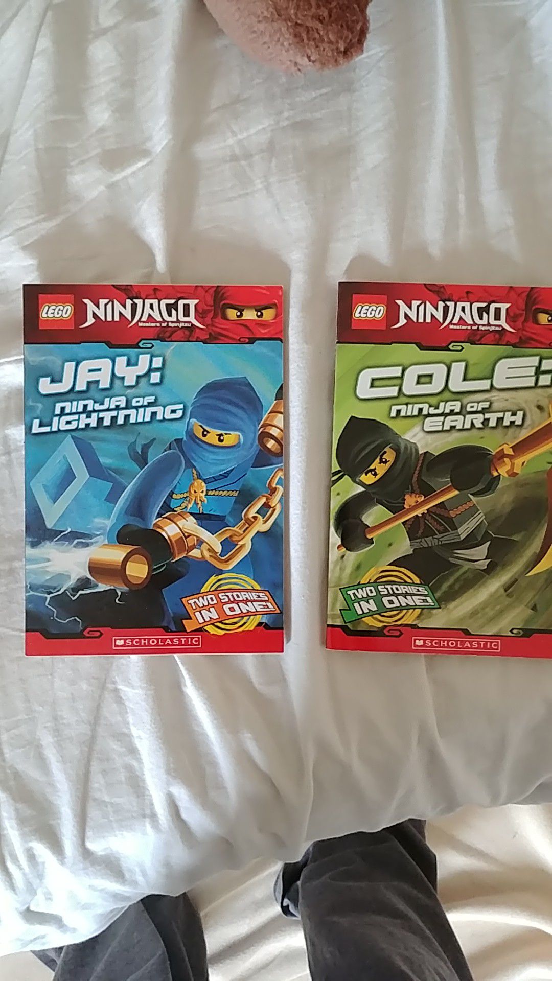 Lego Ninjago: Cole: Ninja of Earth/Jay: Ninja of Lightning