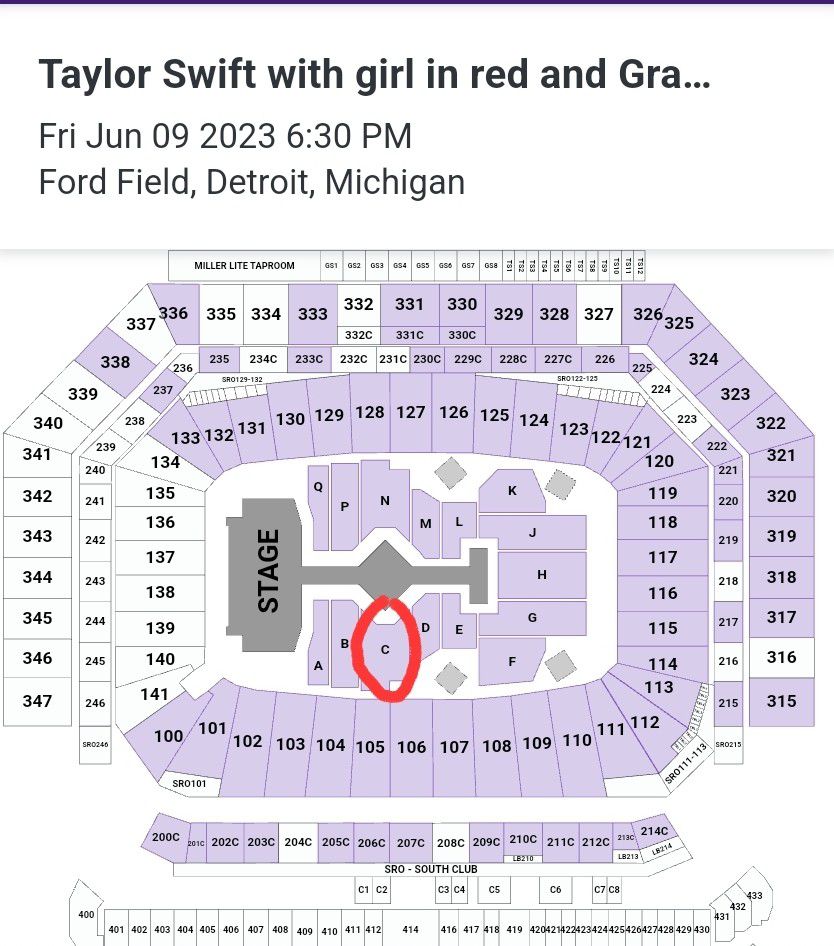 1xTaylor Swift Ticket (Detroit)