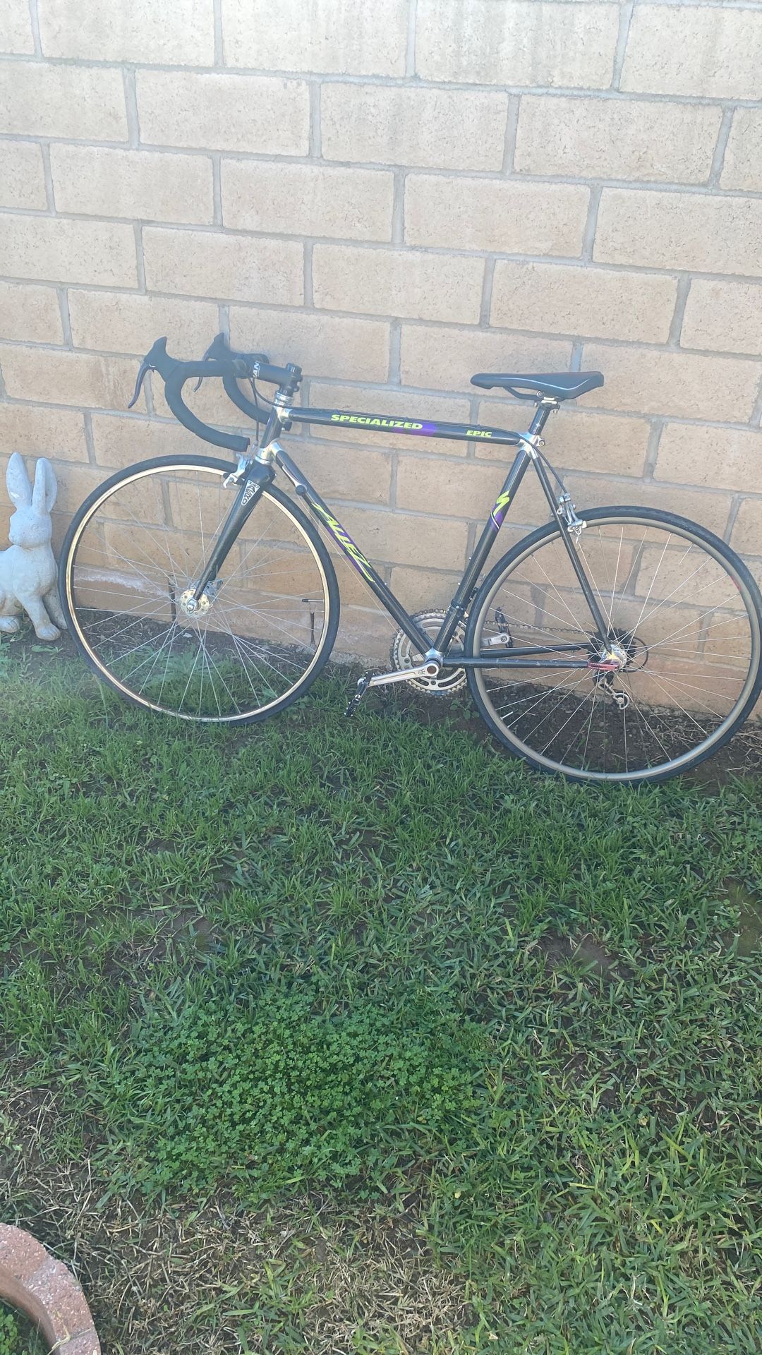 Carbón Especializado Epic Bike