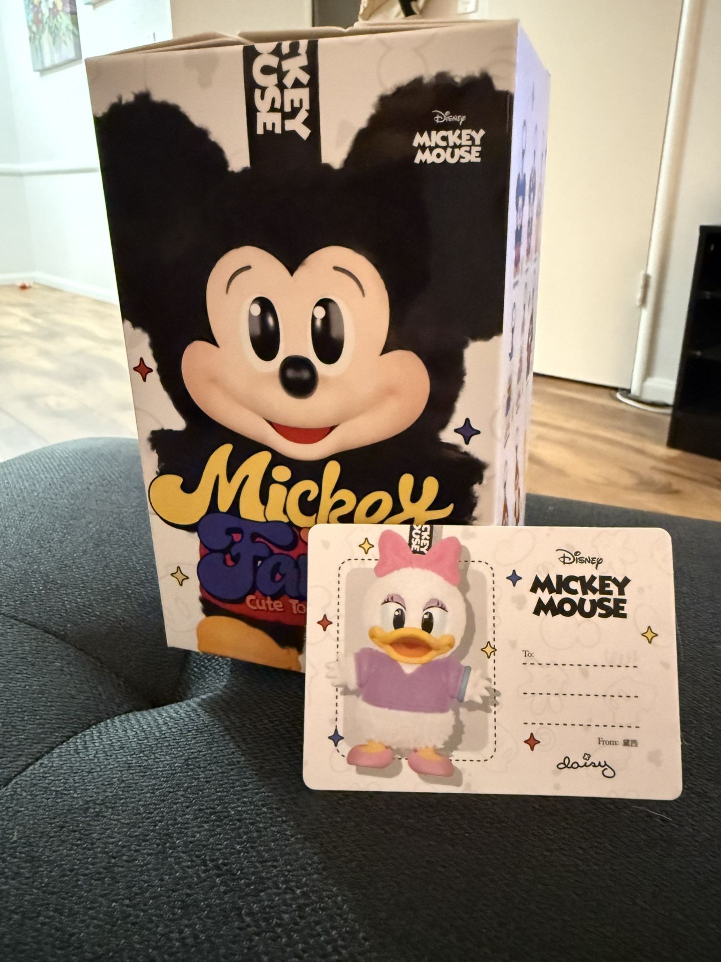 Mickey Family