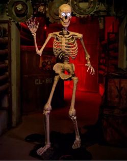 6ft skeleton