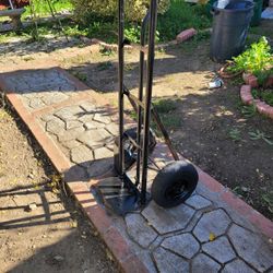Dolly