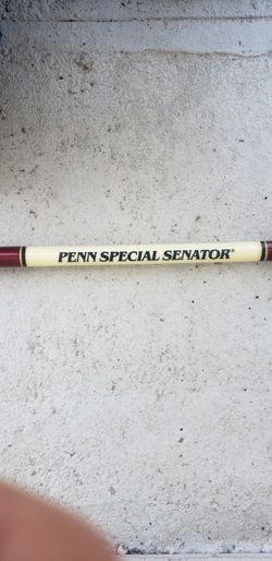 Penn 330 GTi Levelwind reel and Penn Senator 6/0 rod with roller tip, NIB.  for Sale in Virginia Beach, VA - OfferUp