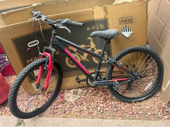 Nishiki Bicycle