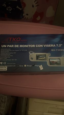 Sun Visor Monitors