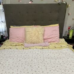 Alma Upholstered Queen Bed 