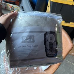 Hudson Baby Car Seat Body Support