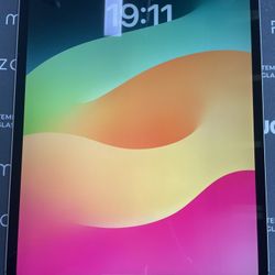 iPad Pro 12.9” 1TB 4th Generation Cellular 