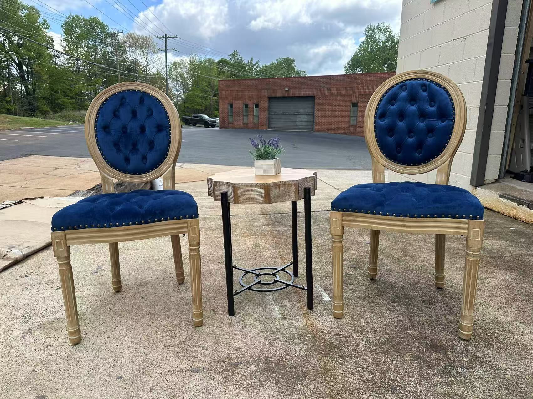 Set of 2 French Vintage Style Dining Chairs with Button Tufted Backrest and Velvet Upholstered Seats, Elegant Accent Chairs for Living Room, Dining Ro