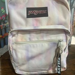JanSport Large Student Backpack $25( Light Rainbow Color)