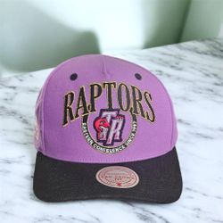 Purple Toronto Raptors Hardwood Classics Crown Jewels Pro Snapback Hat