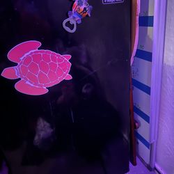 Mini Fridge With Freezer