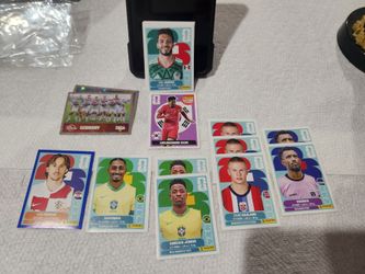 Panini sticker