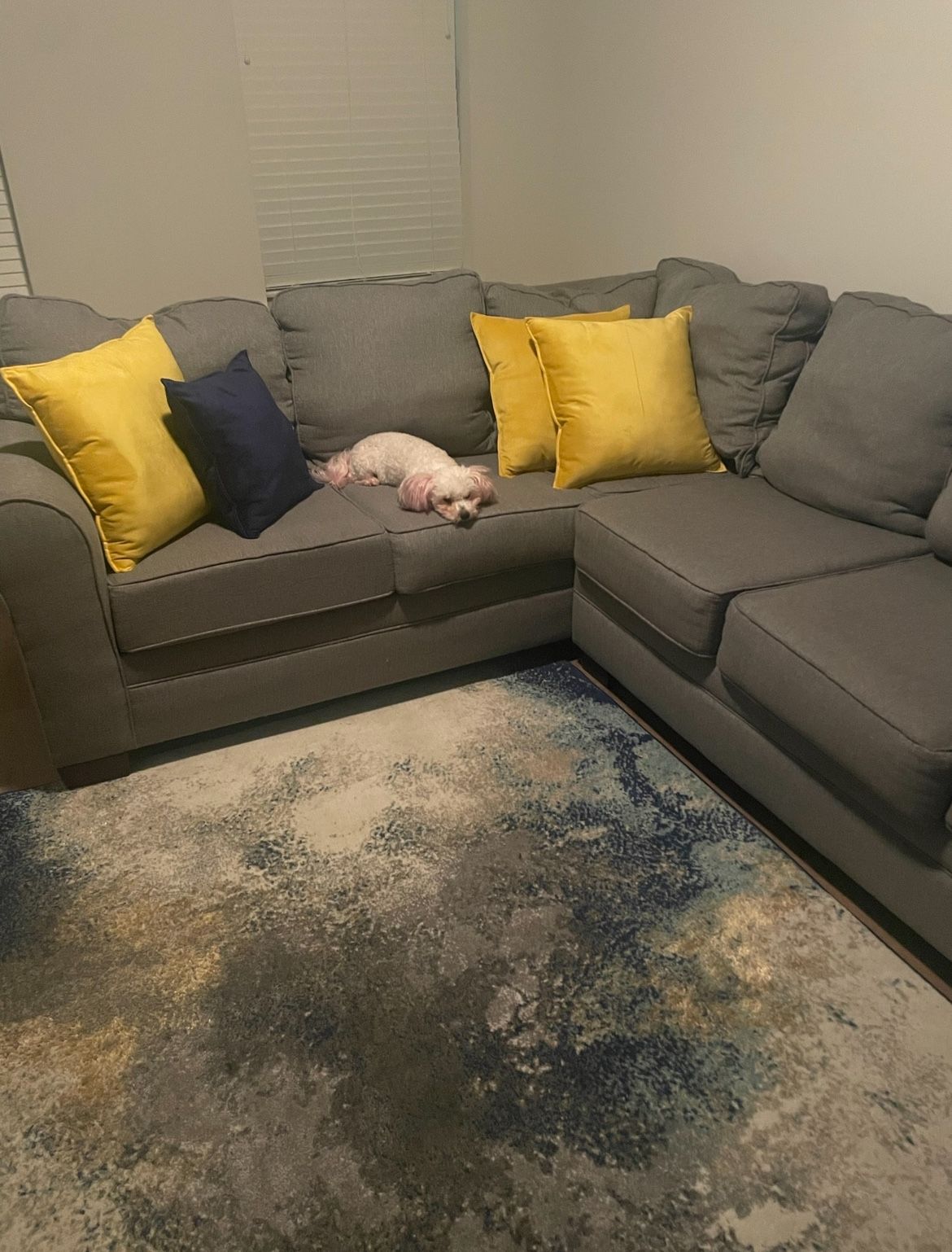 Rug/ Pillow Covers